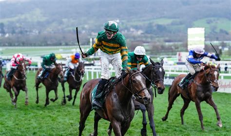 The 2024 Cheltenham Festival: stats and trends for all 28 races.
